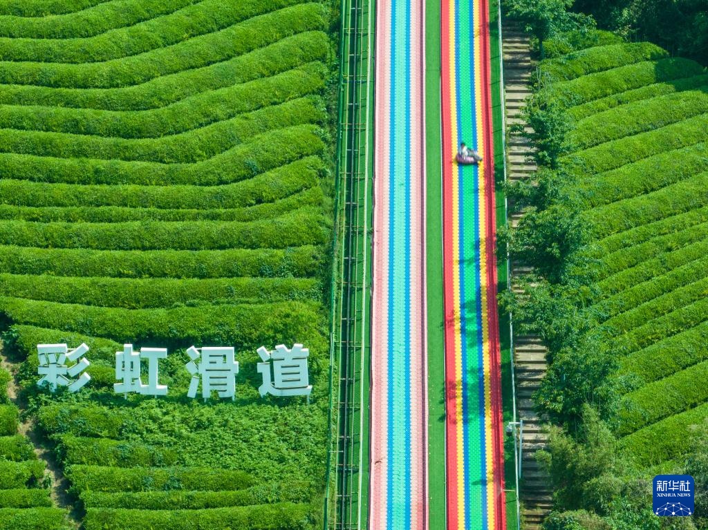 经济大省调研行丨浙江杭州：乡村里火热的“春日经济”