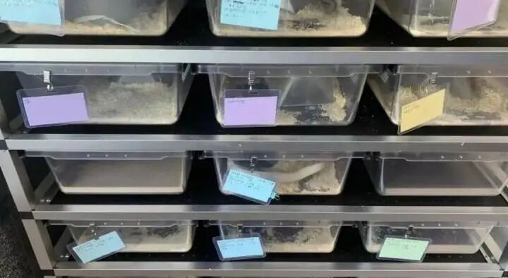 浙江一户人家养了70多条宠物蛇，整个小区居民陷入恐慌！13位邻居集体上法院起诉