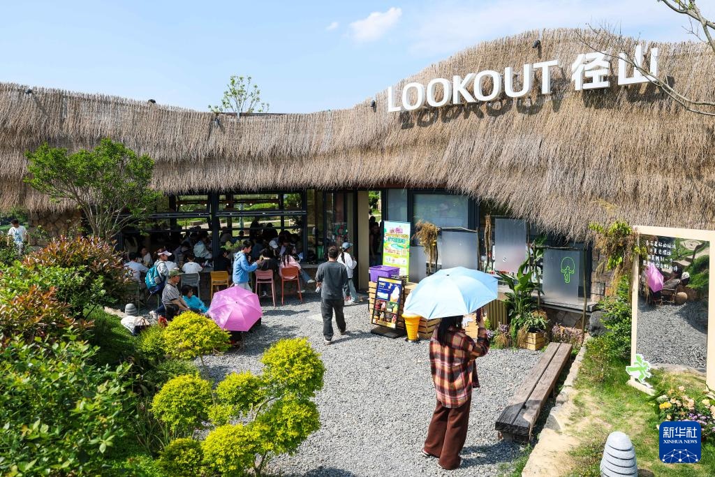 经济大省调研行丨浙江杭州：乡村里火热的“春日经济”