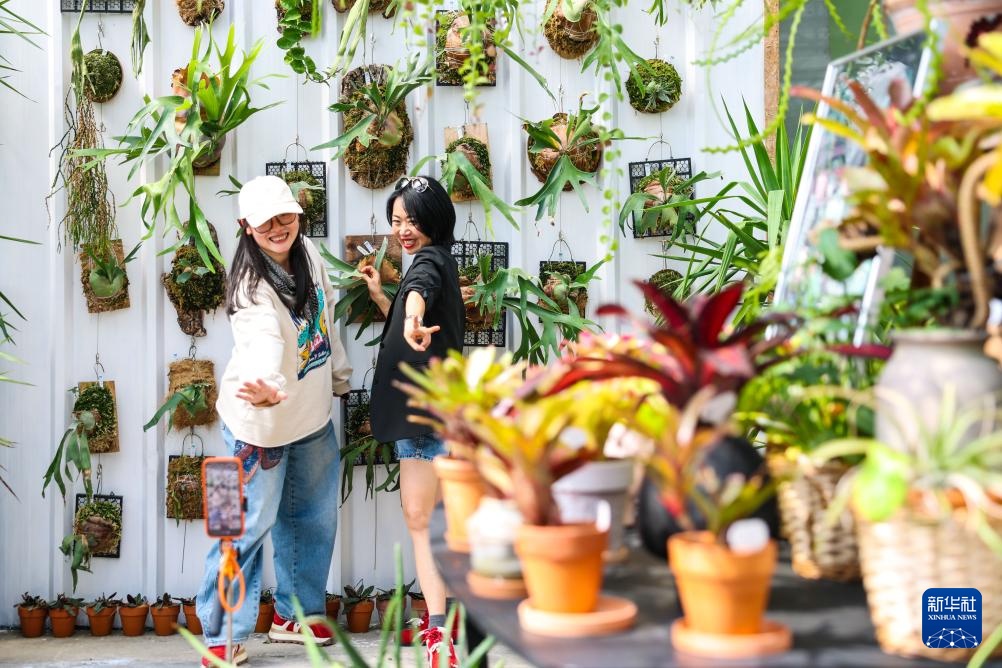 经济大省调研行丨浙江杭州：乡村里火热的“春日经济”