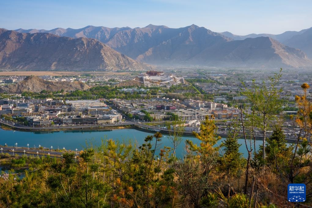 满目青绿映拉萨 南山观景正当时