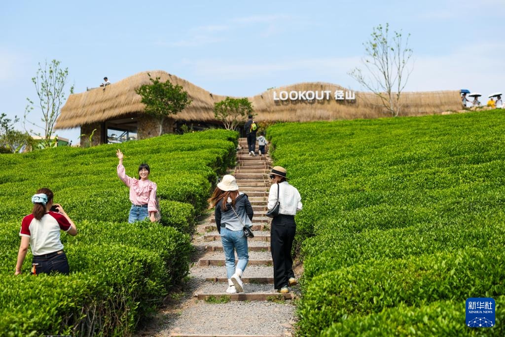 经济大省调研行丨浙江杭州：乡村里火热的“春日经济”