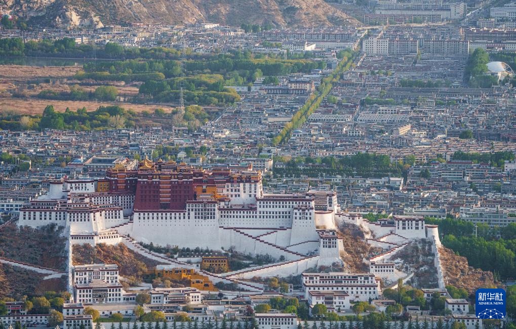 满目青绿映拉萨 南山观景正当时