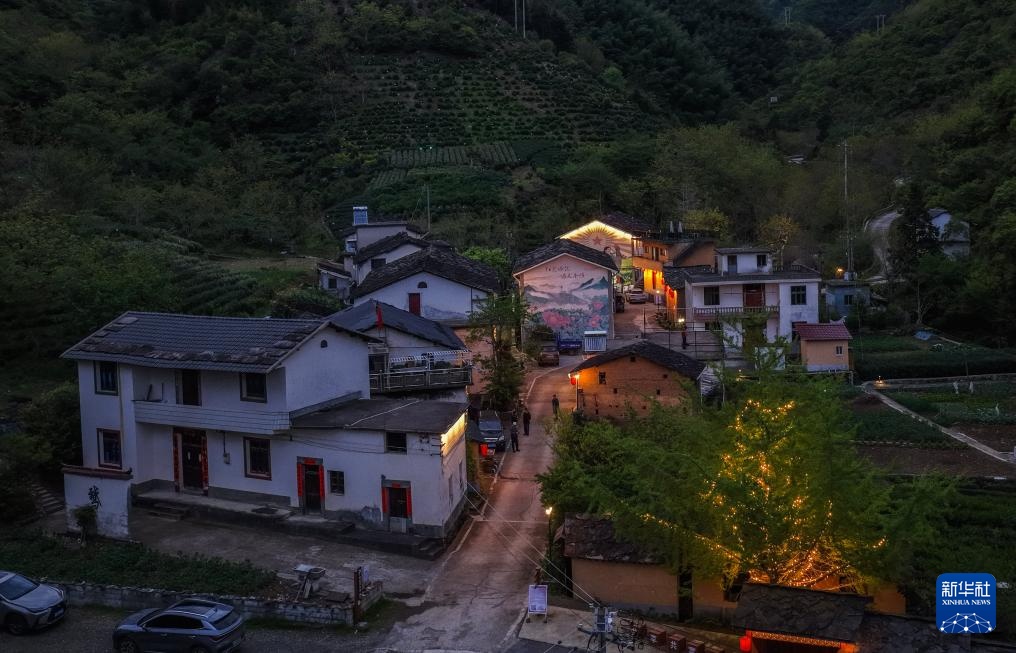 百亩高山杜鹃迎客来