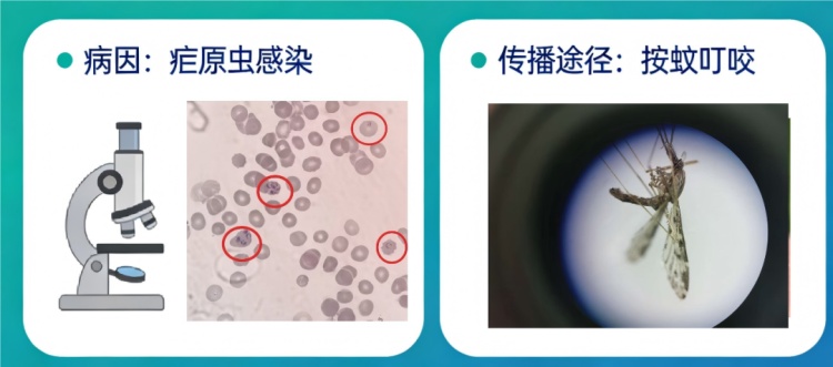 这种病曾是我国最古老、危害最重的传染病之一，现在情况如何了？