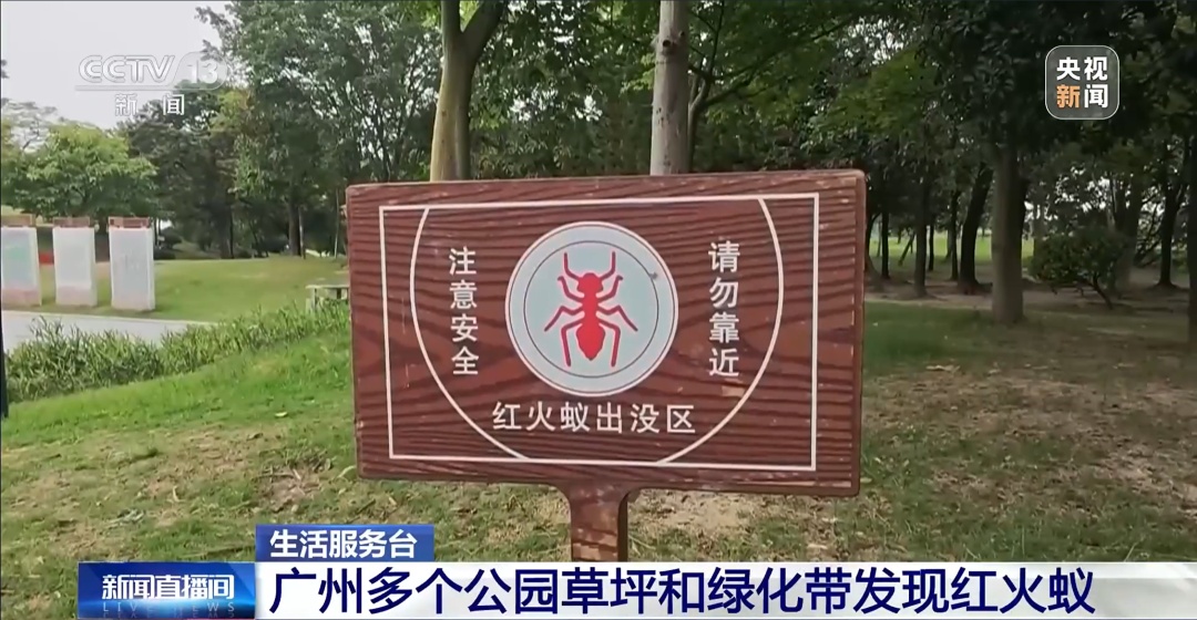 广州多地出现小土堆，千万不要踩