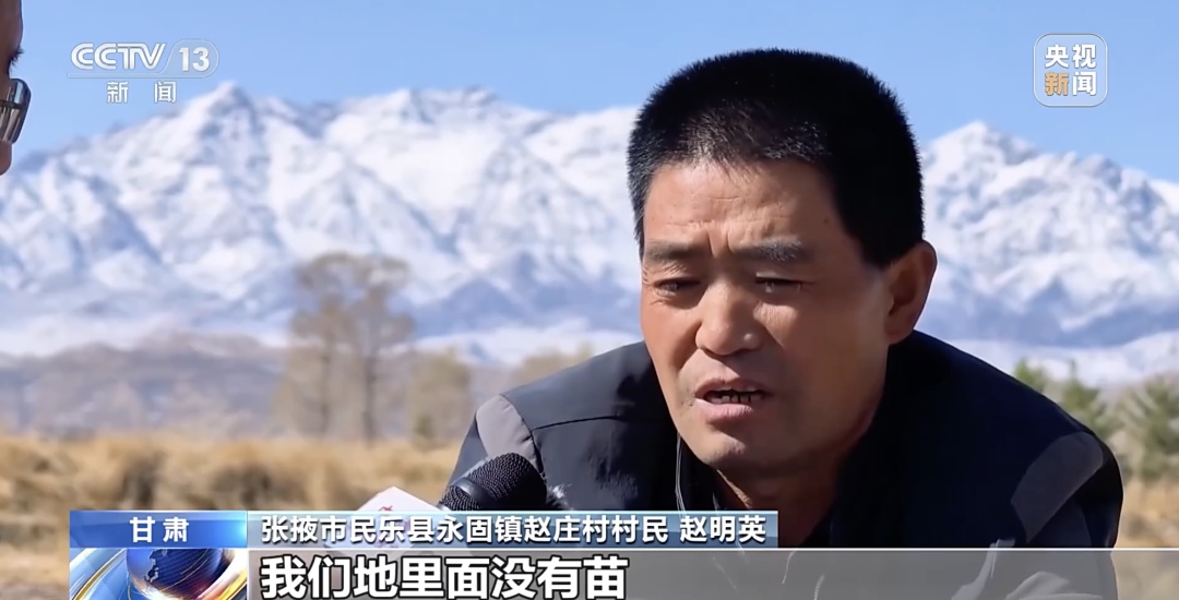 出苗率不足三成，农户损失惨重！警方破案→