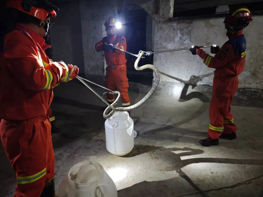 女子亲眼看见一团黑影闯进卧室，查看监控后立马报警求救！