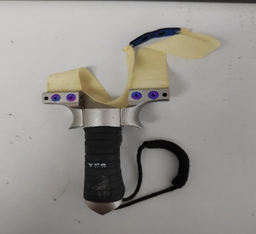 弹弓打鸟又电鱼，温岭一男子获刑六个月