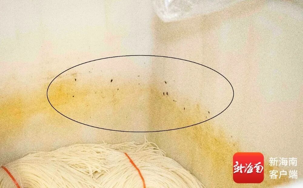 果盘店水果发霉、库房蟑螂爬上食材……海口下架84家问题外卖店→