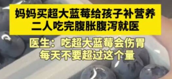 一种春天必吃的“浆果之王”，可能把你送进医院！3个细节，再馋也得注意