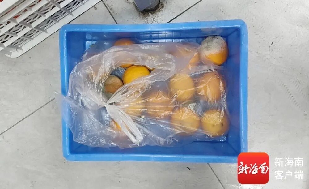 果盘店水果发霉、库房蟑螂爬上食材……海口下架84家问题外卖店→