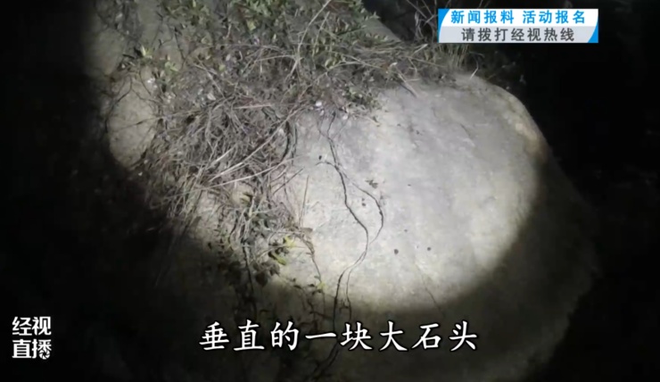 心真大！武汉两妈带两娃爬“野山”迷路被困， 经历惊魂之夜……民警紧急提醒