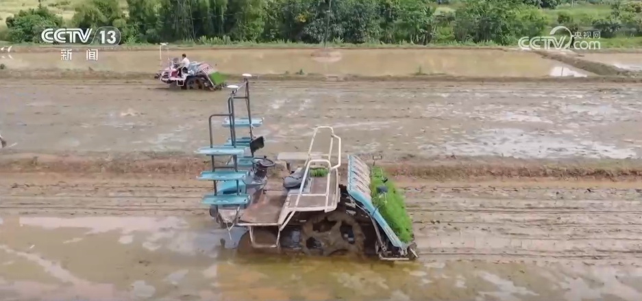“新技术+新装备”加持让春日麦田“节节高” 智能设备描绘出“数字丰收图”