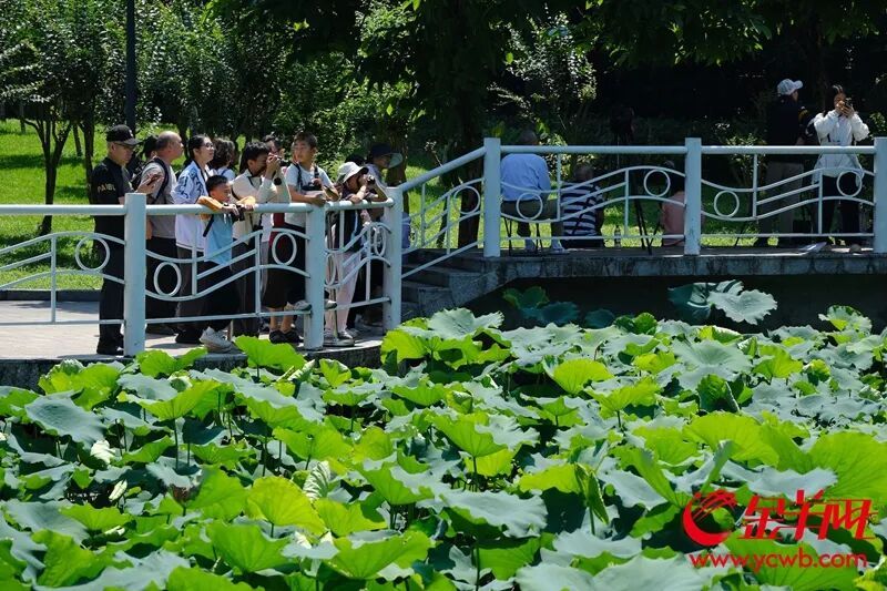 雷雨模式重启！五一假期要“泡汤”？