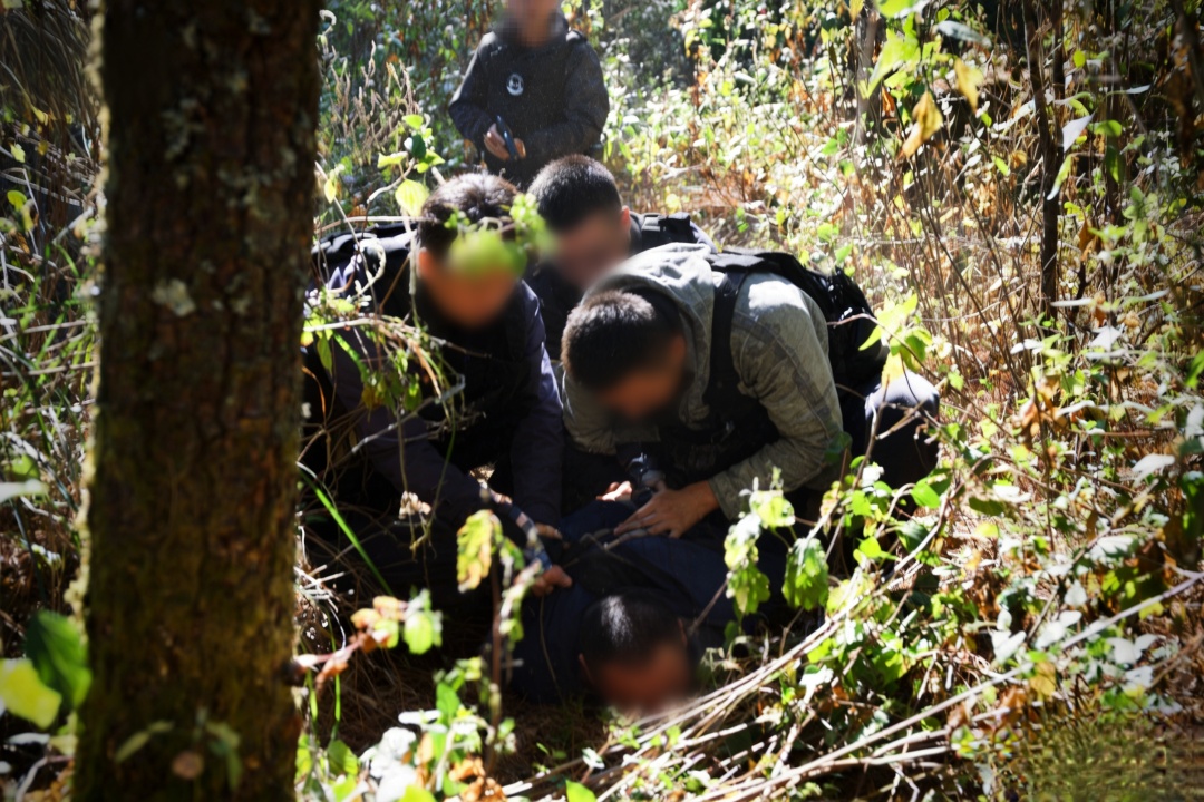 “王警官”，获奖了！