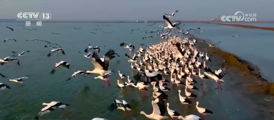 多角度透视一季度生态环境质量“成绩单” 绿色成为高质量发展的鲜明底色