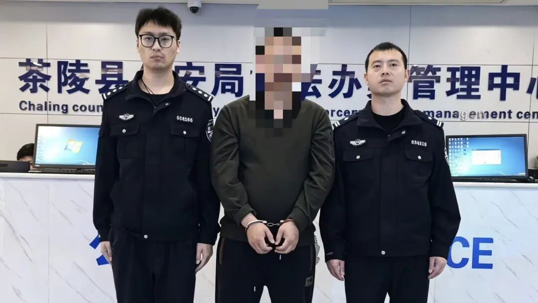 给钱啥证都办？10倍暴利！你看“刑”不“刑”