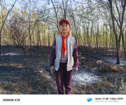 毓秀公园突发火情，银川三名11岁少年上演教科书式救火！