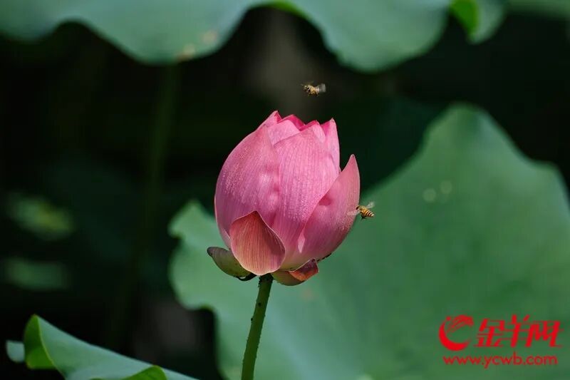 雷雨模式重启！五一假期要“泡汤”？