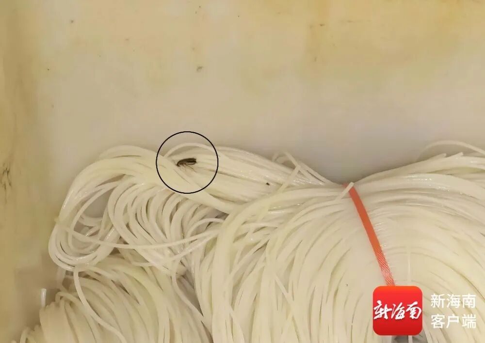 果盘店水果发霉、库房蟑螂爬上食材……海口下架84家问题外卖店→