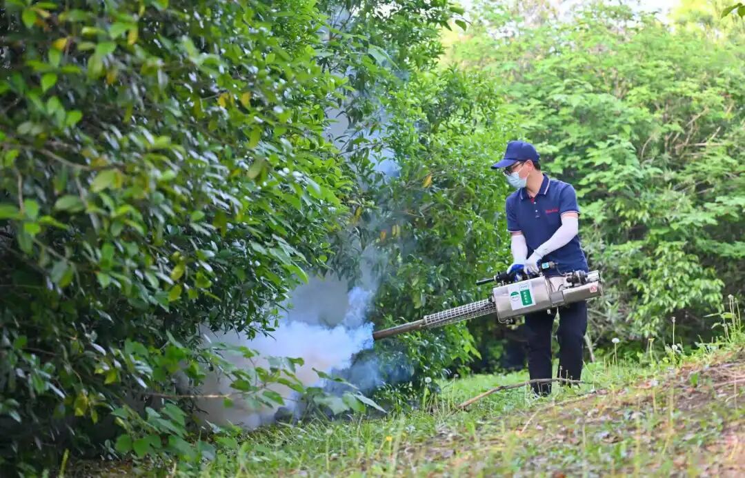今年蚊子“史诗级加强”？安徽疾控已画好“蚊子地图”