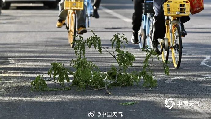 树枝折断，电动车倒地…北京大部地区阵风达8级，还有短时沙尘！大风何时能停？