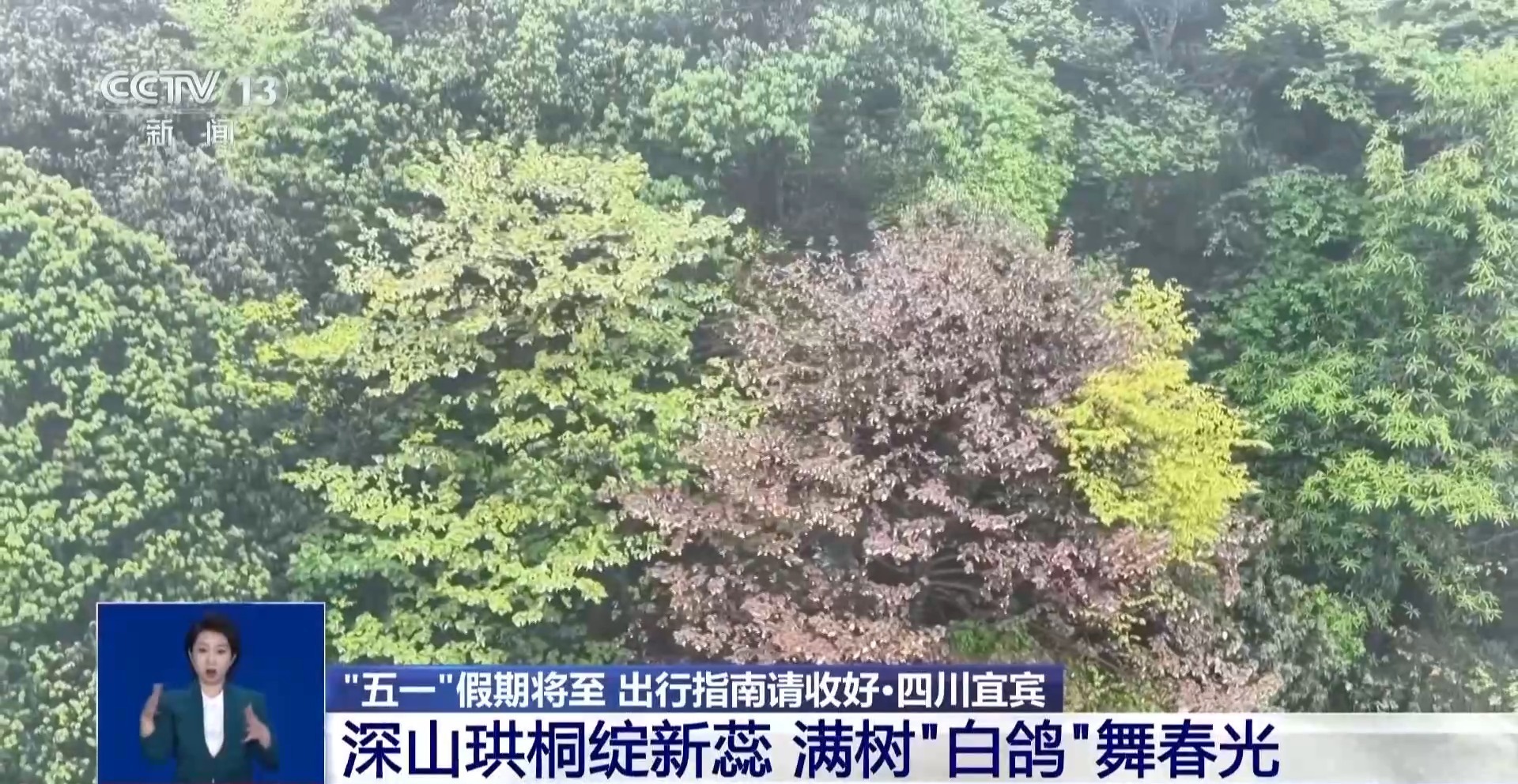 创意焰火、文旅街区热度攀升 这些景点等你“五一”打卡