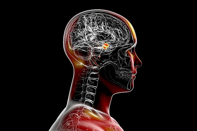 亲测有效！特别焦虑时，试试“478呼吸法”（附教程）