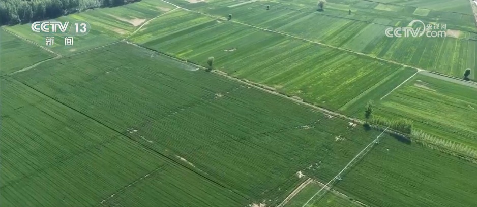 智能农机成为田间地头“新农具” 硬核科技落地田间让农耕生产更高效