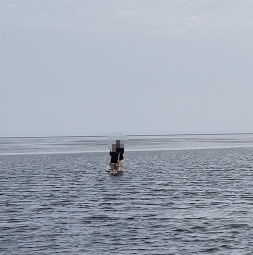 赶海人已在海里老实了！