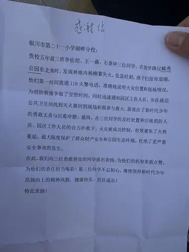 毓秀公园突发火情，银川三名11岁少年上演教科书式救火！