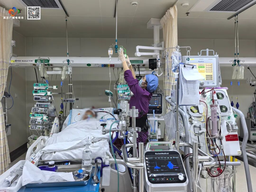 武汉一男子突发“白肺”命悬一线，医生提醒：接触这类动物务必警惕！