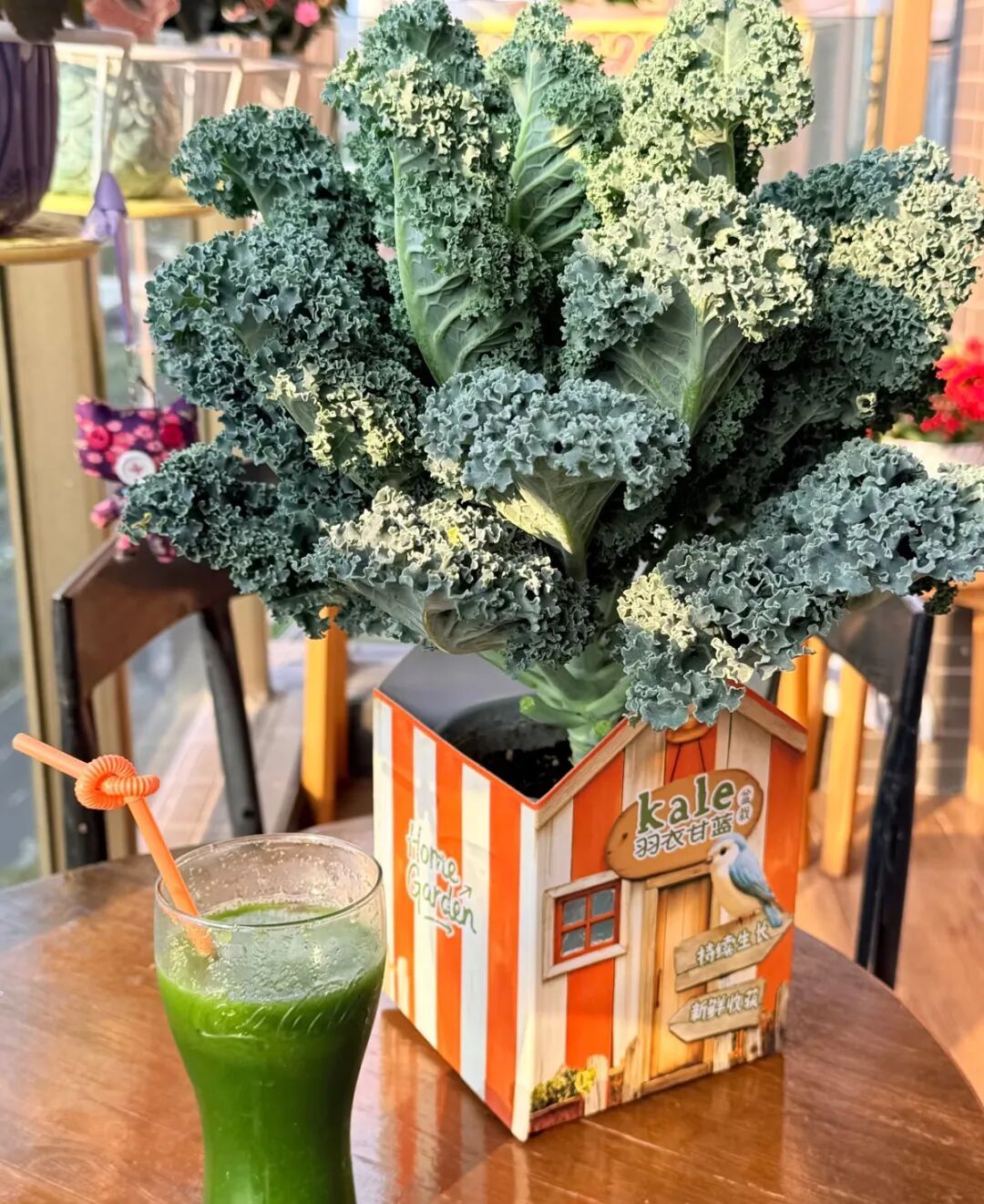 能减脂？能解毒？这种蔬菜突然被很多人疯狂追捧，有人一次抱走七八盆……专家提醒——