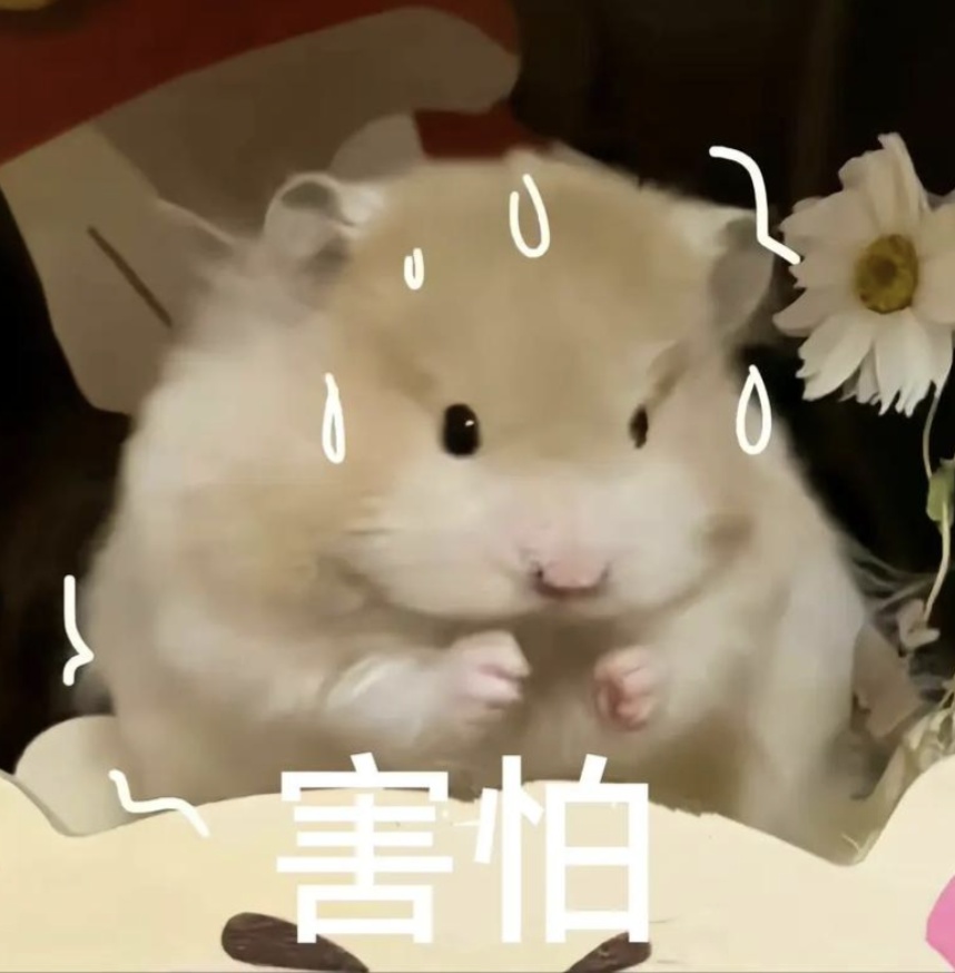 细思极恐！办公室暗藏针孔摄像头，哺乳期员工被偷拍，法院判了！