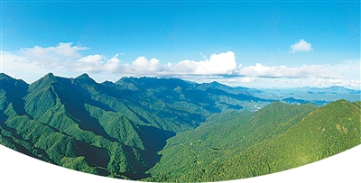 核心保护区不是打卡点！7人擅自闯入被立案调查