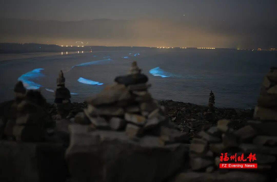 超梦幻！福州蓝眼泪爆发了，今晚还有