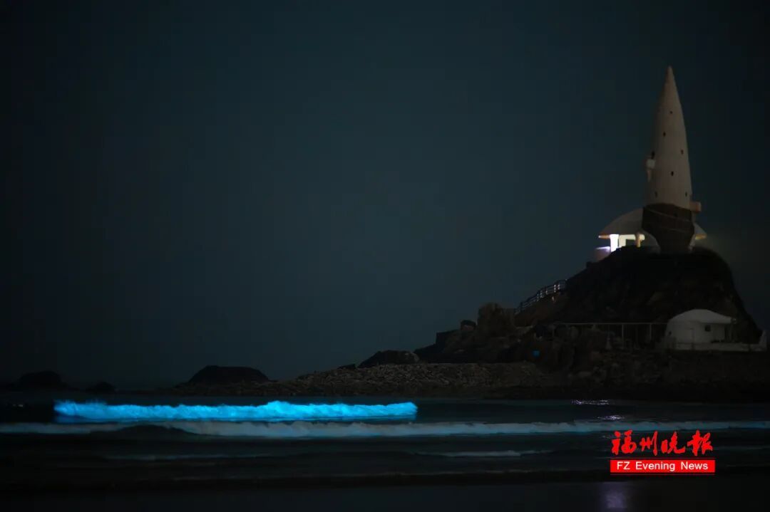 超梦幻！福州蓝眼泪爆发了，今晚还有