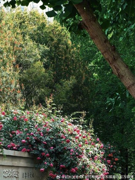 五一来河南处处皆美景