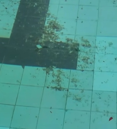 四川一游泳馆泳池凌晨被人投火锅底料、酱油等液体物，警方通报