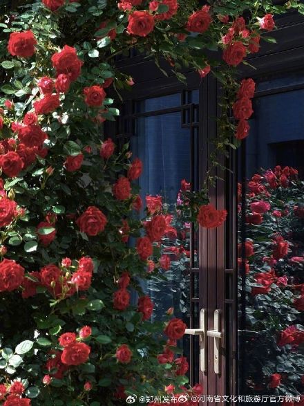 五一来河南处处皆美景