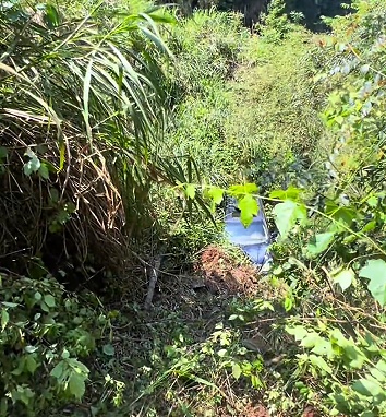 江西一男子连人带车坠崖冷静自救毫发无伤，车还能打着火，网友：劫后逃生必有后福