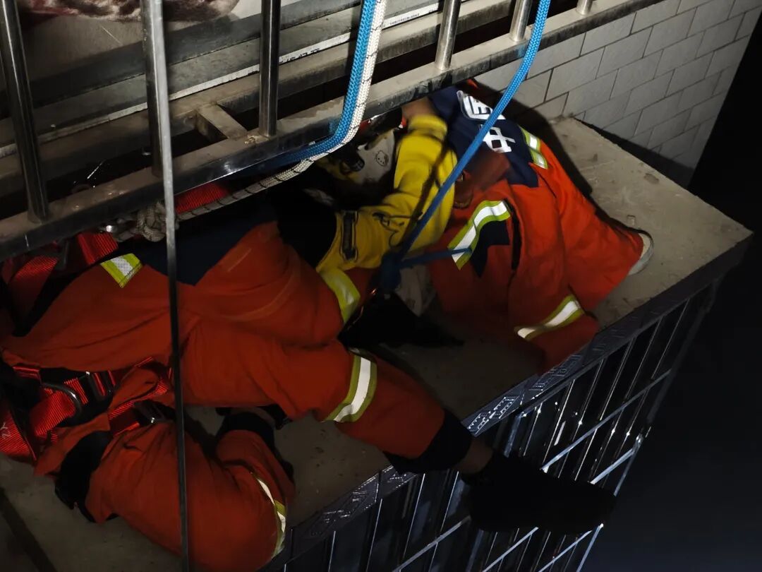 为出门找朋友，女孩竟徒手爬下7楼！结果“半途而废”了……