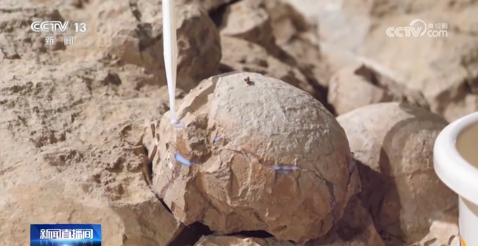 给恐龙蛋化石群穿上“纳米防护服”分几步？