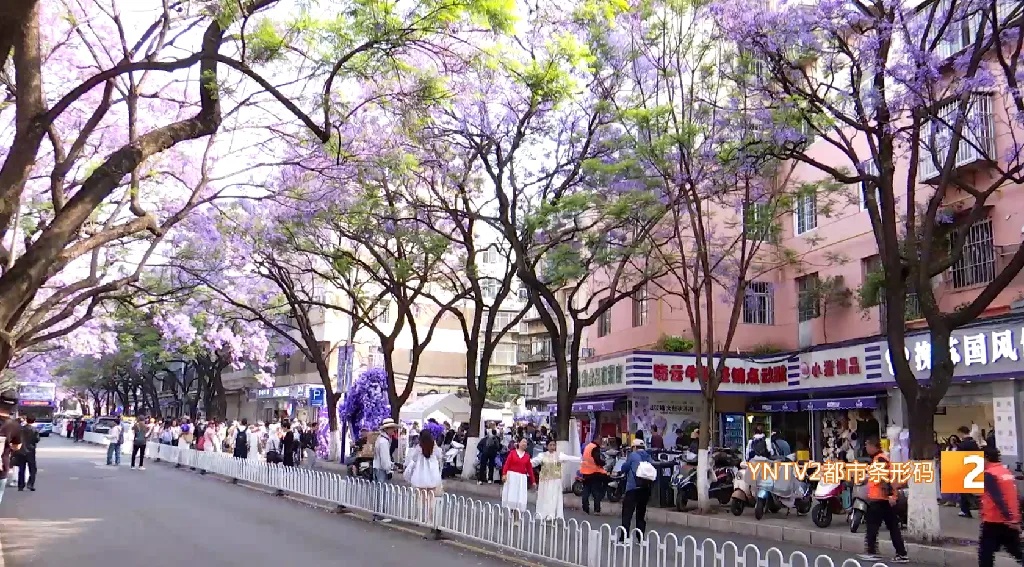 昆明这个打卡点半天人流量已近三万，这些注意事项要知道！