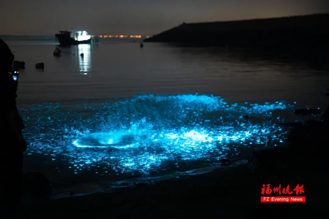 超梦幻！福州蓝眼泪爆发了，今晚还有