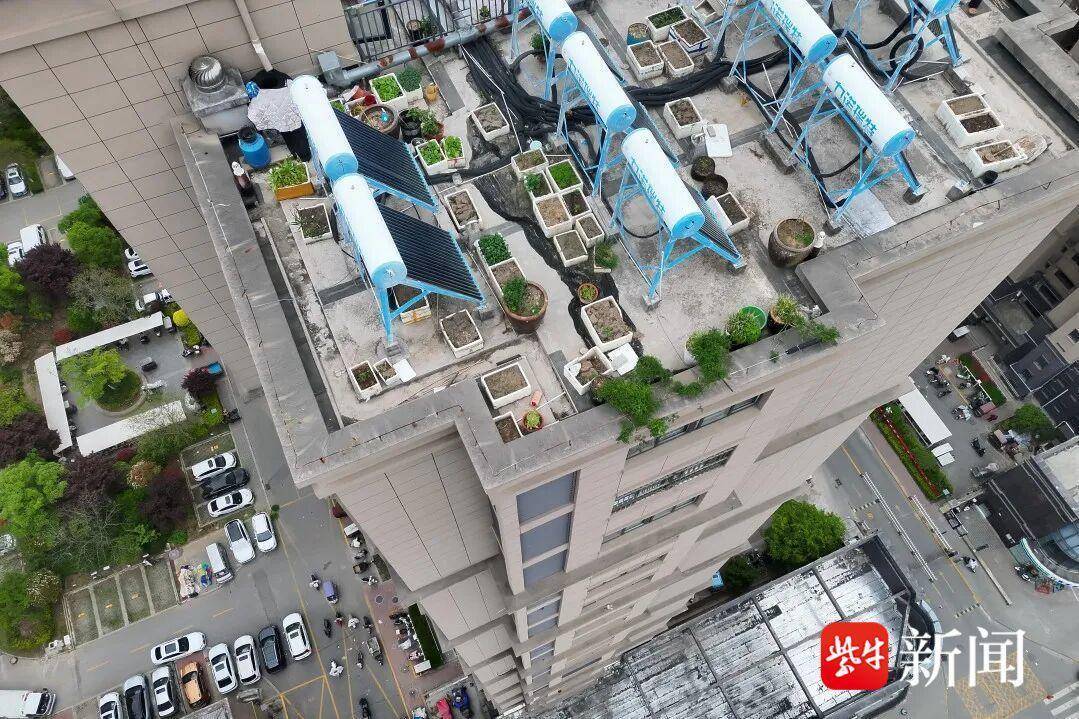 “天眼巡毒”！徐州警方利用无人机铲除罂粟120余株