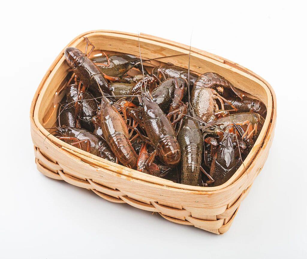 又到一年“吃虾季” 小龙虾最新消费提示