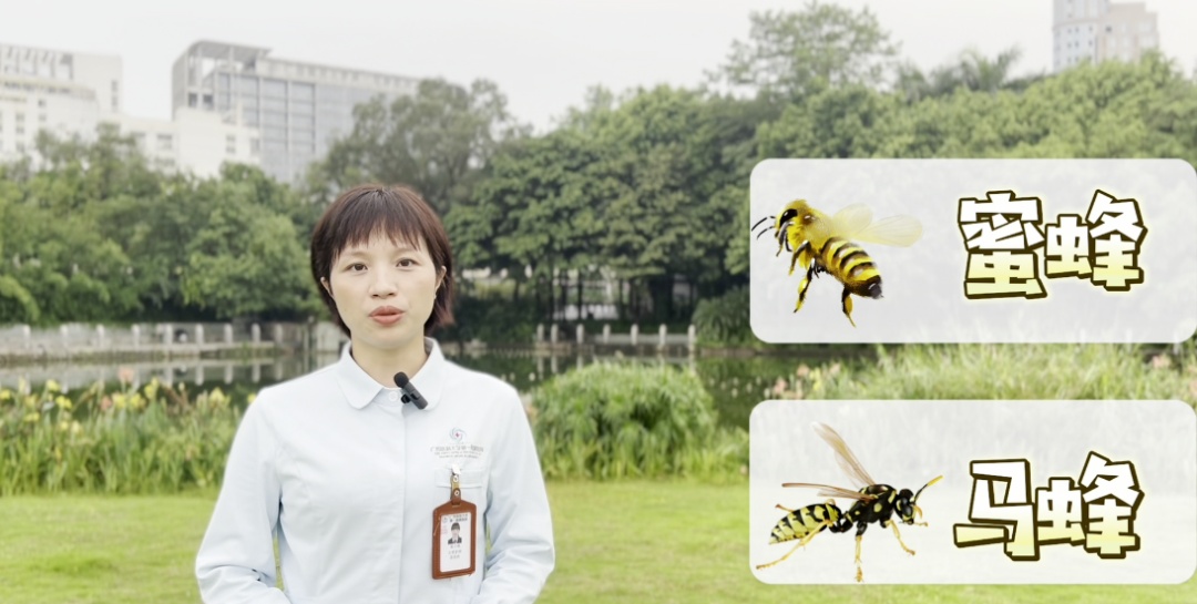 家中书房频繁出现“不速之客”，消防员清理结果太惊人