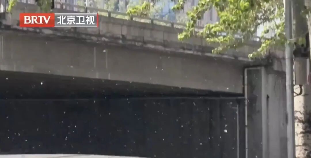 我国约7亿人受此病困扰！专家：别硬扛！收好这份使用指南